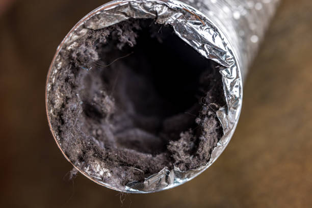 Best HVAC Duct Inspection Services  in Coleman, MI