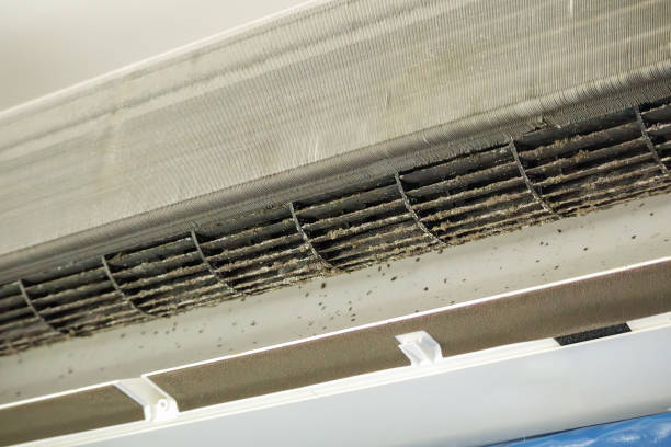Best Air Duct Cleaning Near Me  in Coleman, MI